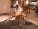 DSCN1179.jpg